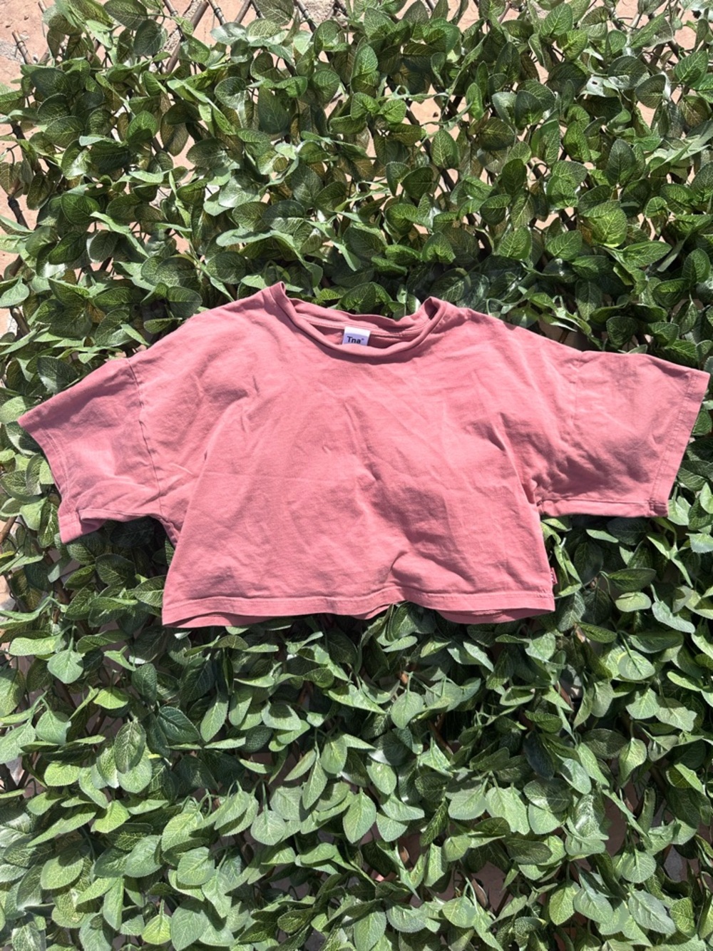 Tna Dusty Rose Cropped Tee